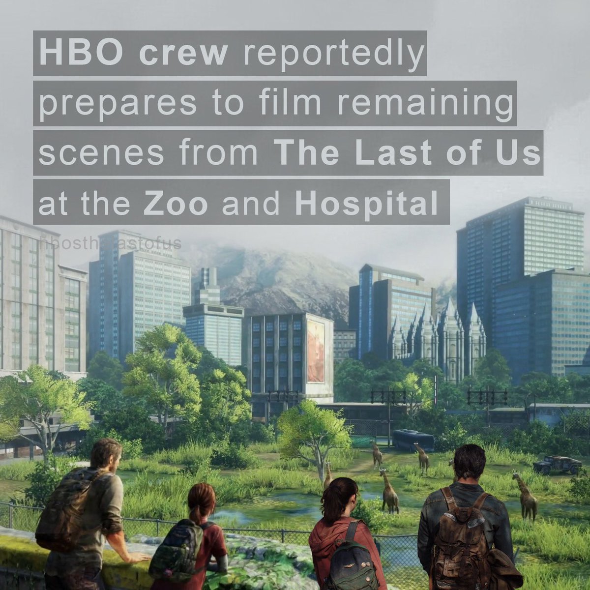 The Last of Us News tweet media
