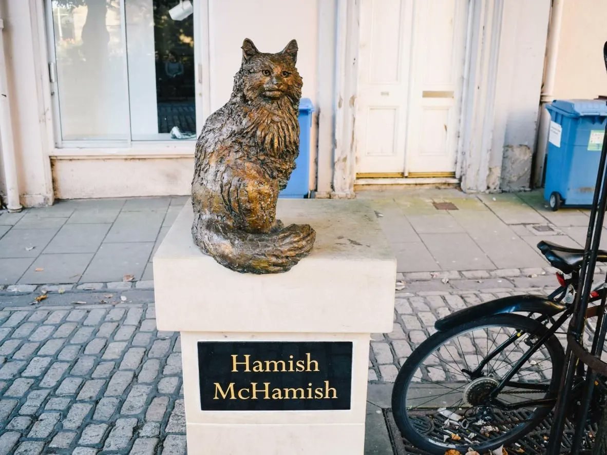 StAndrews_Live's tweet photo. The Hamish McHamish Statue 🐾 

The town’s famous cat, Hamish McHamish, has become somewhat of an icon over the years. So much so that there is now a statue erected in his honour, and there are even books written about him that you can purchase in the local bookshop 🐈📚 https://t.co/ZnDB5vHCcJ