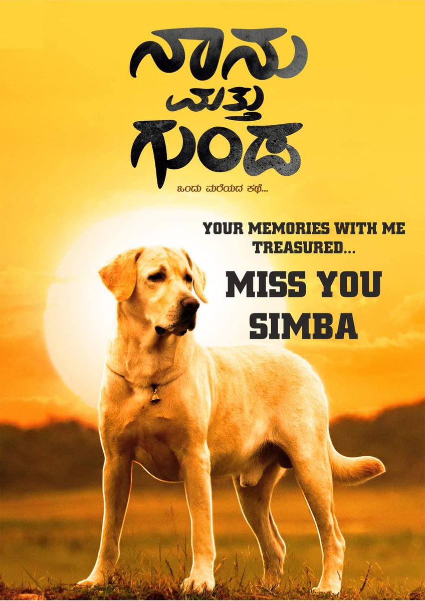 mymoviebazaar's tweet photo. The dog playing Gunda in #NaanuMathuGunda is no more.
.
.
#Simba #Shivarajkrpete #Nanumattugunda #petlovers
#Dog #Missyousimba https://t.co/o2c6dFD6CT