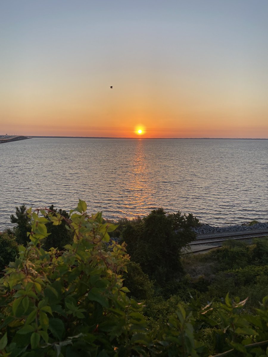 CoachWolterUWF's tweet photo. Someone once told me…”every successful person I’ve ever met wakes up early.” Do successful people press snooze too? Cuz I’m still workin on that part 😩😂. Great morning for a run @Lisa_teagirl62 @haykindall #UWFVB #ShesBack #6Before6 #FitLeaders #RunPensacola https://t.co/jnkaXhIu0v