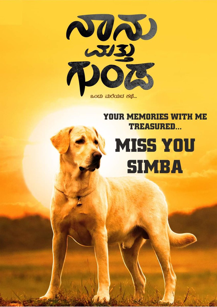 BangaloreTimes1's tweet photo. The dog playing Gunda in #NaanuMathuGunda is no more. https://t.co/OJhM3DpR6E