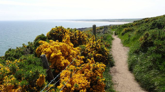 The Cottages tweet media