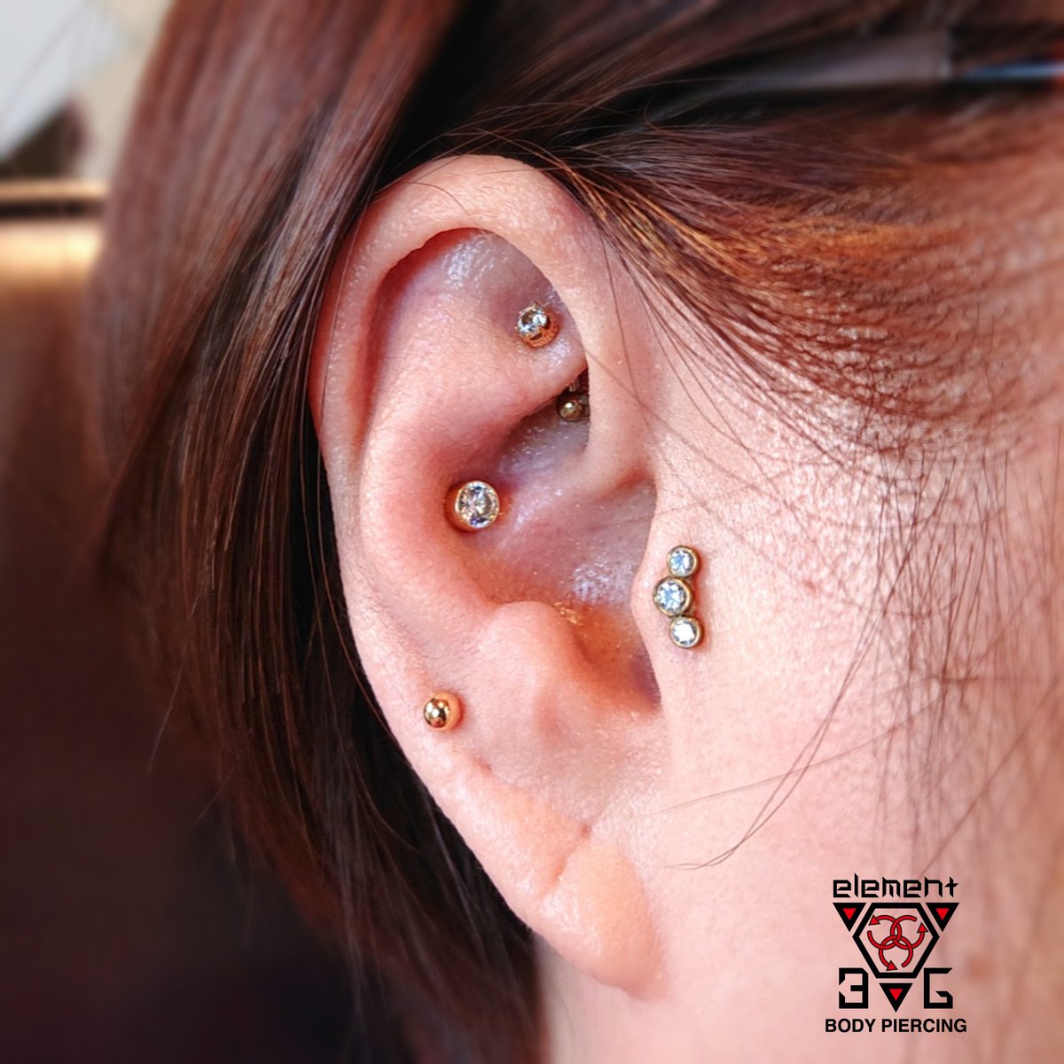 トラガス、ローク、インナーコンク、ロブ 【ANATOMETAL】 アーク