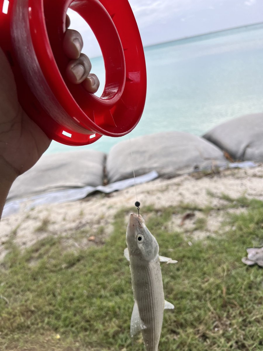 DRoy_mp4's tweet photo. I’m home.😊☺️
.
.
.
#iot #indianoceanterritories #cki #onemorecast #fishinglife https://t.co/ow1aBIXSPT
