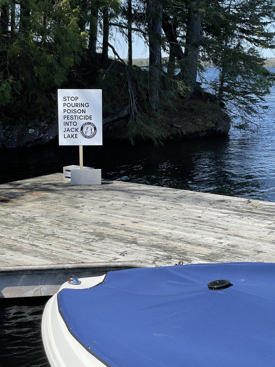 aquarry's tweet image. Stop the pollution of our freshwater lake!!!
Cosmetic aquatic weed control is not the sustainable answer. #kawarthalakes @DaveSmithPtbo @MayorAmyotte Take a stand. @DavidPiccini @ONenvironment @JLWeedWarriors @PtboExaminer #electionissue @CanadianGreens @CBCQueensPark