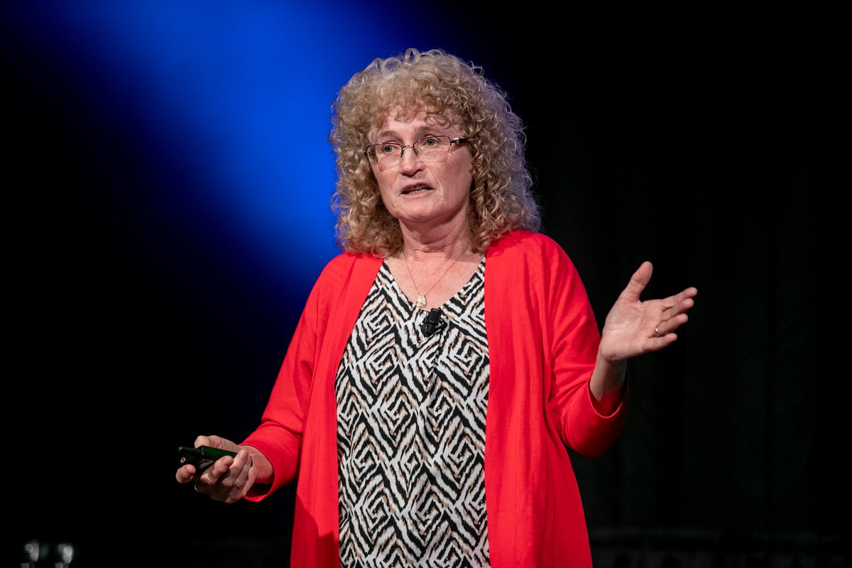 Dublin City University tweet media