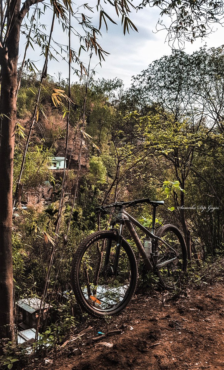 TrekBikesIndia's tweet photo. Sasanka Dip Gogoi has made our day! 😍
Find the bike here: https://t.co/bQ9E4DMNvX
#GoByBike #TrekBikesIndia #BetterwithBikes #BelieveinBikes #MountainBike #XCaliber #Safety https://t.co/6QzPn2SBA9