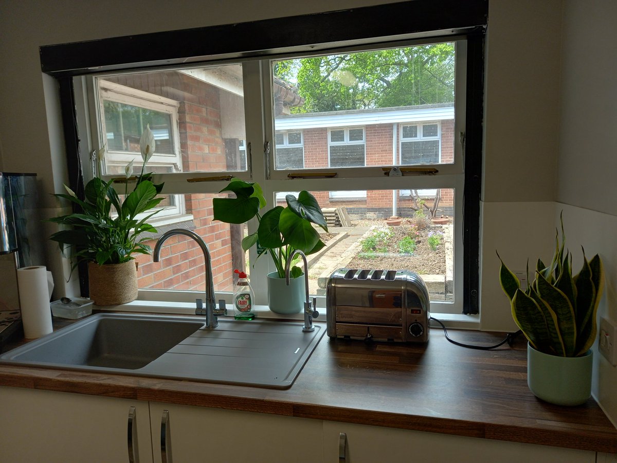 Finishing touch to the newly refurbished staff break room at Pine View - plants from Plant &amp; Paint in Hull. Great for staff morale! <a href="/HumberNHSFT/">Humber Teaching NHS Foundation Trust</a> <a href="/LynnParkinson7/">Lynn Parkinson</a>