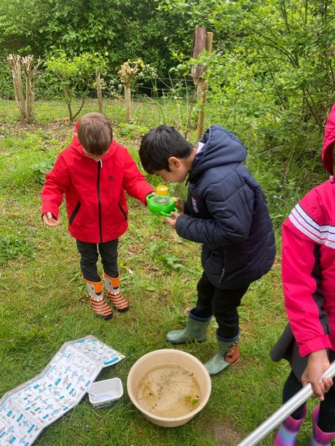 HandfordHallPS's tweet photo. Year 2 pupils are enjoying their outdoor learning at Foxburrow Farm Nature Reserve today! ππ
#topiclearning https://t.co/WVPxViJfmF