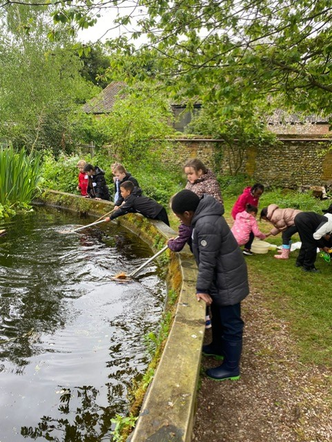 HandfordHallPS's tweet photo. Year 2 pupils are enjoying their outdoor learning at Foxburrow Farm Nature Reserve today! ππ
#topiclearning https://t.co/WVPxViJfmF