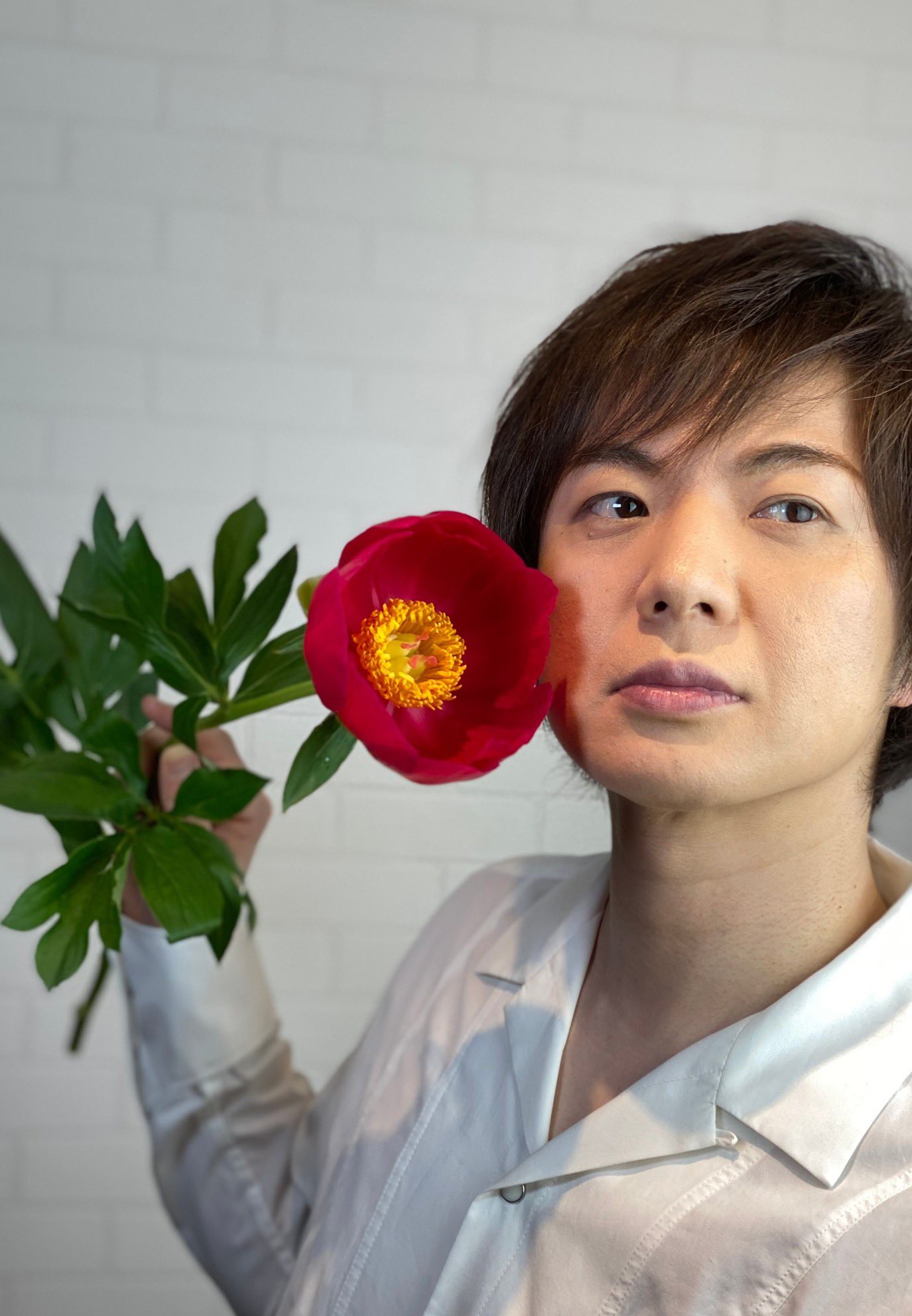 おかめ Takeshima Staff 幻の赤色の芍薬 スカーレットオハラ 素敵な名前 名付け親は どこかの 文学青年 宏様のような方でしょうね 風と共に去りぬ 思い出すのは 挫折し 読了できなかった本 後に映画で スカーレットオハラの 美