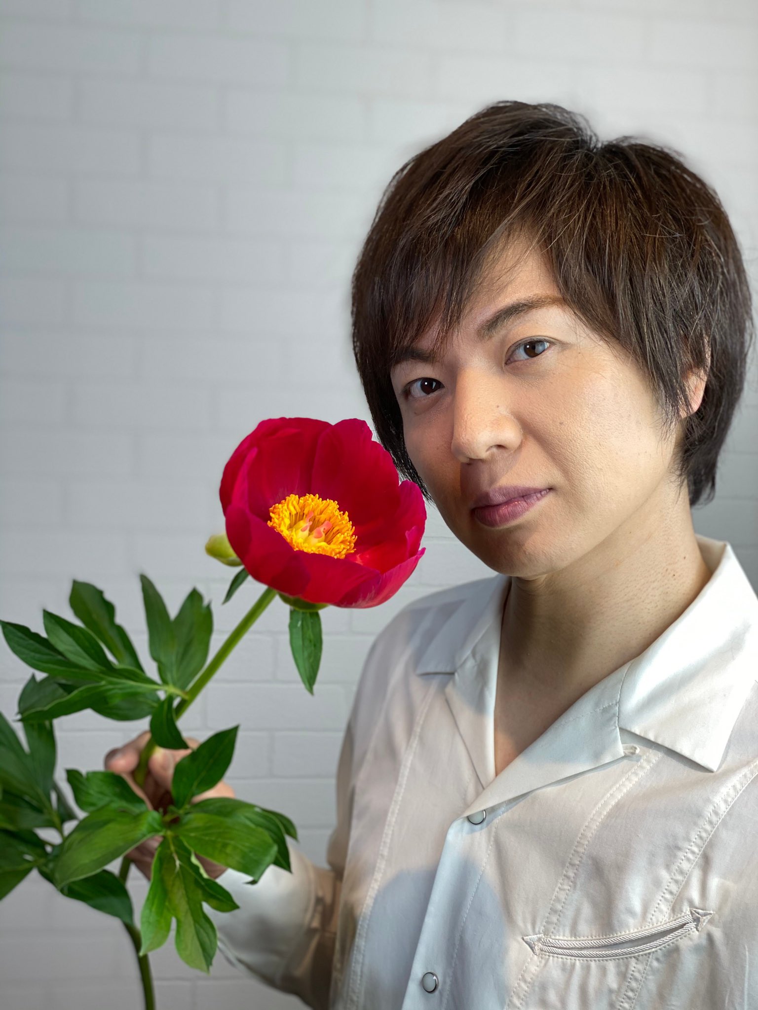 スカーレットオハラ Twitter Search Twitter