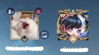 แมวตื่นเต้นที่ได้เล่นเกมหรือได้เล่นกับเรา