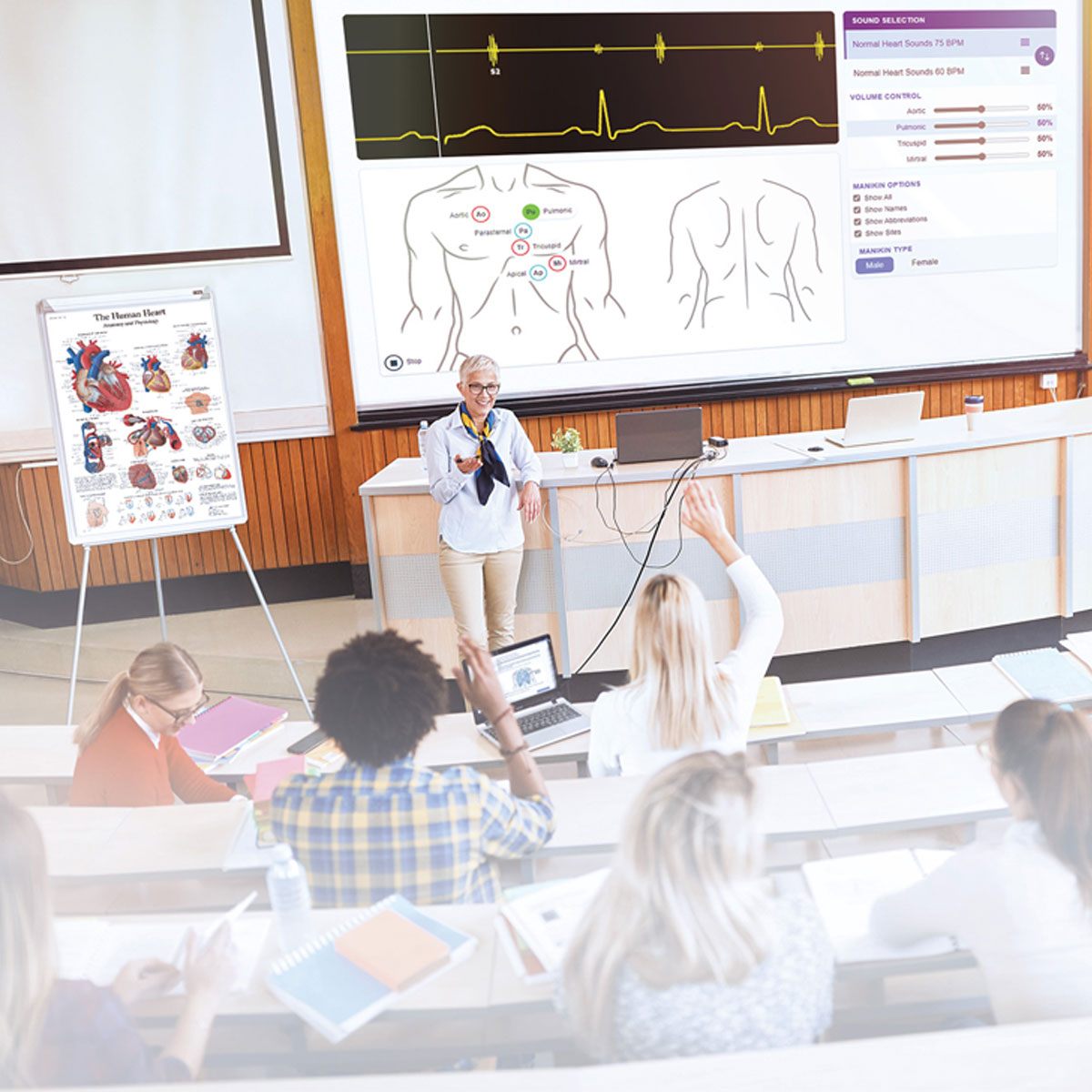 Cardionics_usa's tweet image. Contact us to for an online demo of SAM4 Online: the newest #auscultation training system for e-learning that effectively enables you to take your auscultation classes to the next level: hubs.la/Q019W5My0

#Cardionics #medschool #3BScientific