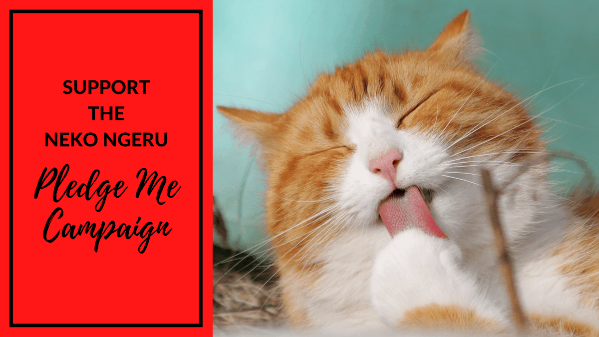 DashKitten's tweet photo. Help support Neko Ngeru Cat Cafe as it launches it's Pledge Me appeal for their new cat cafe! https://t.co/Kxh5Nj28Dv #catcafe #coffeeandcats #pledgeme https://t.co/GYKhFDcSEB