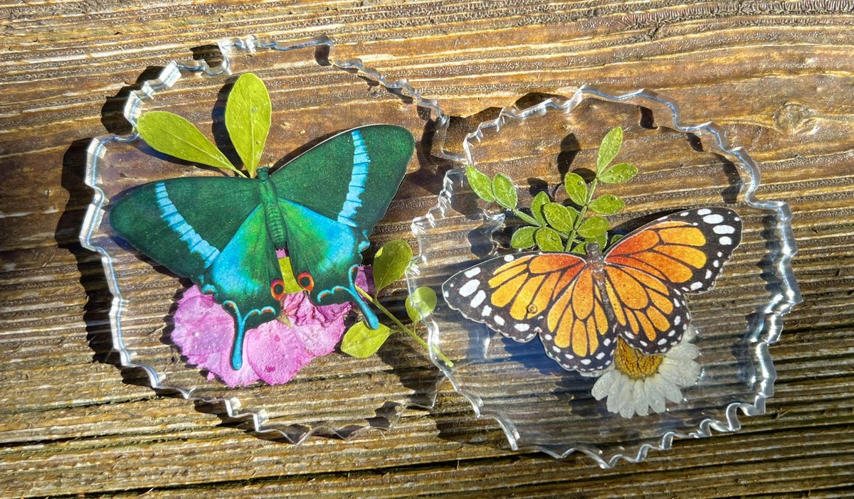 sadspookysillyc's tweet image. 🔥everything is looking for homes!🔥