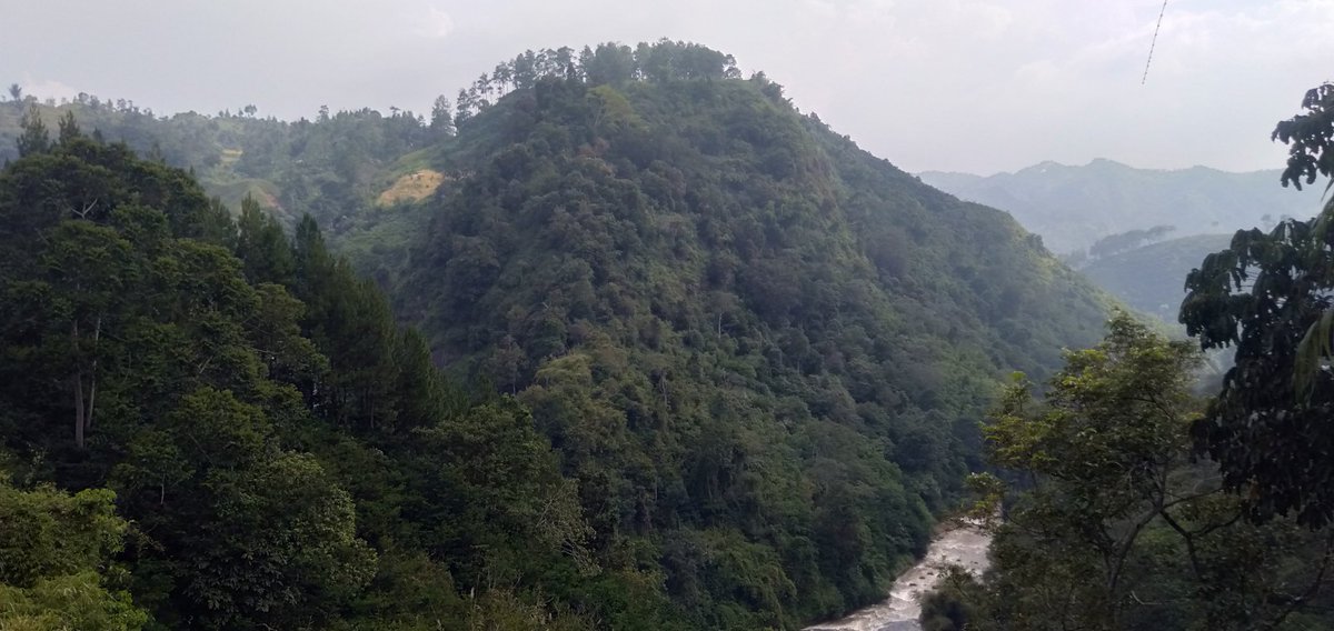 Ga pernah olahraga, jalan ke sini berkilo-kilo. Alhasil muntah 🤣🤣