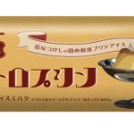 ５月１６日よりプリンアイスバー「純喫茶風レトロプリン」が新発売‼