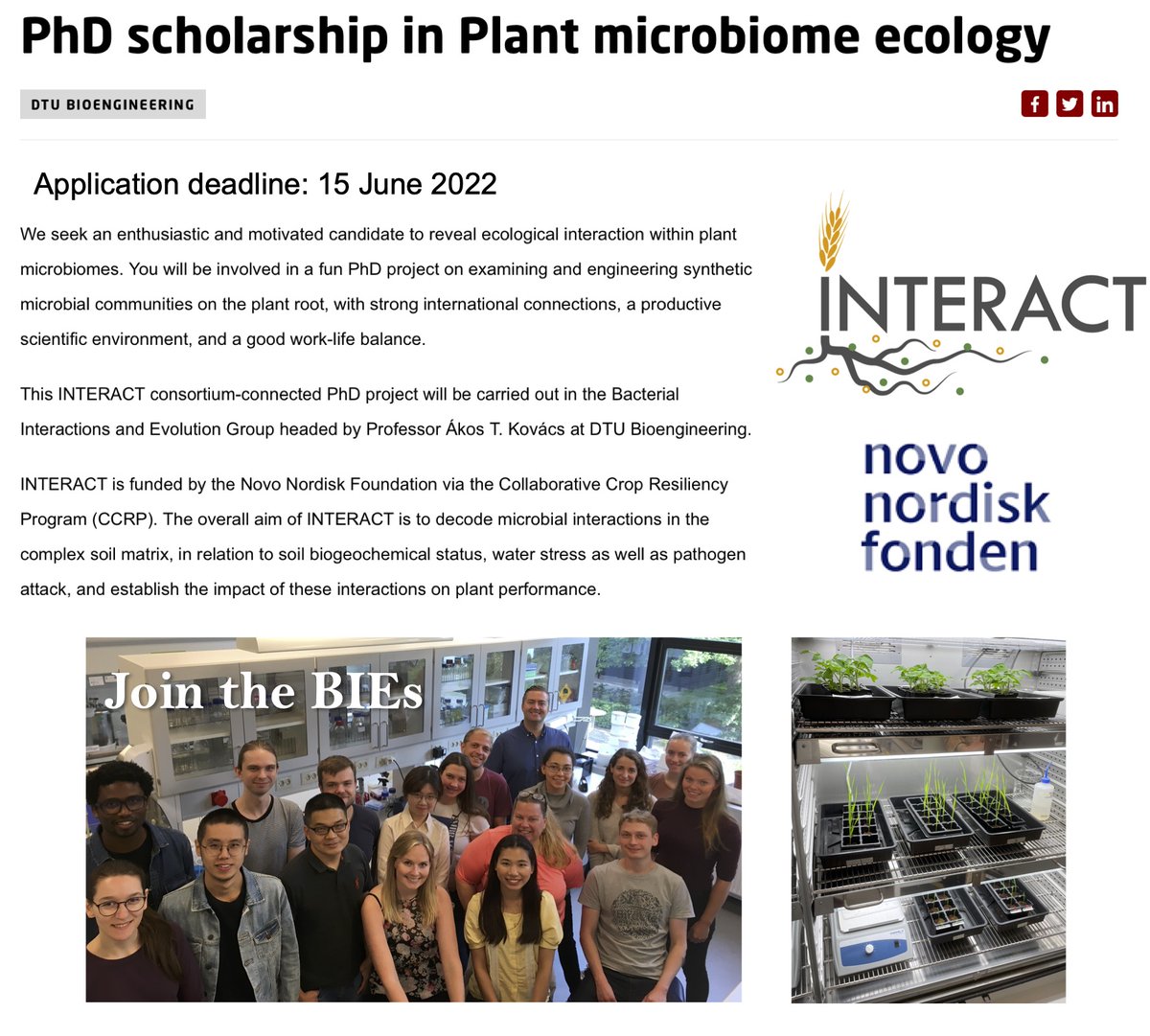 EvolvedBiofilm's tweet image. PhD scholarship in Plant microbiome ecology - join our group to work with synthetic microbial consortia via the @novonordiskfond-funded INTERACT consortium

application deadline: 15 June
at @DTUbioengineer 

dtu.dk/english/about/…