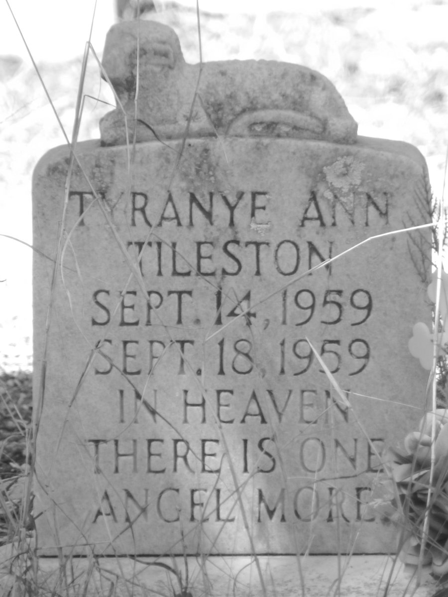 neocurio1's tweet photo. cEDAR KEY CEMETERY #cedarkey #graveyard #grave #death #headstone #cedarkey #floorida #blackandwhite #neocurio https://t.co/jXPdGn1hxE