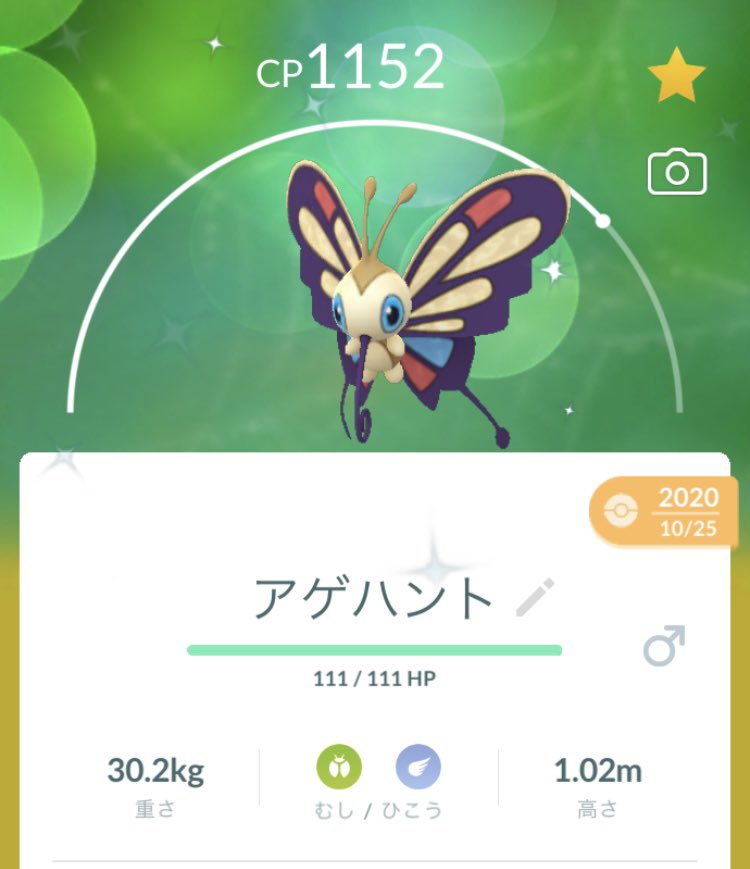 アゲハント色違い Twitter Search Twitter