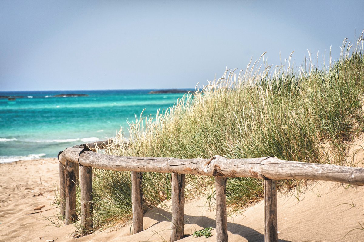 viaggiarepuglia's tweet photo. 🌊Bandiere Blu🌊 
50 spiagge pugliesi premiate, su 427 di tutt'Italia🥳
Tre new entry tra i comuni: Rodi Garganico, Castro e Ugento. 
Vi aspettiamo in Puglia 😊
#WeAreinPuglia 
📸 Castro Marina - Paolo Laku
Rodi Garganico - Daniele Corricciati 
Ugento -  Leonardo D'Angelo https://t.co/ZsyNf5j1kQ