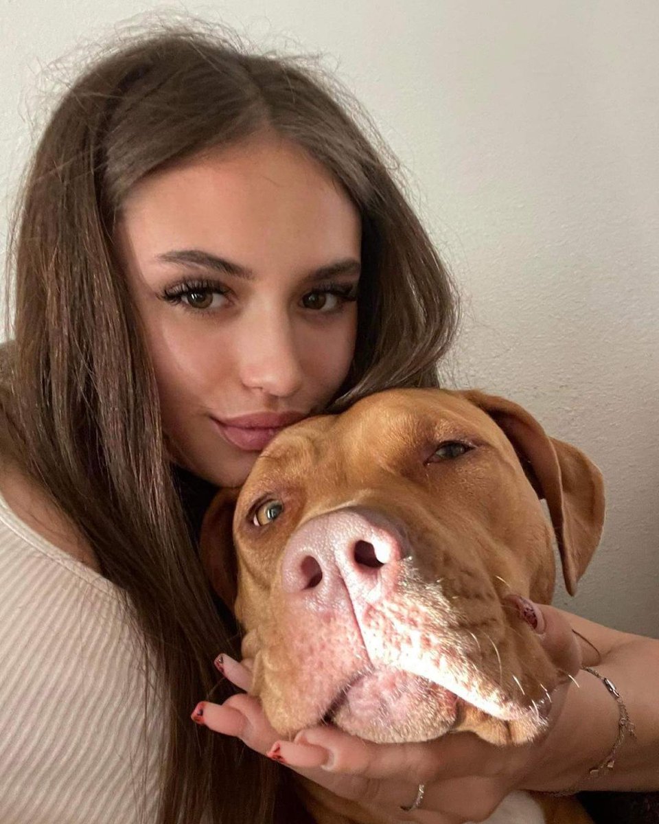 holy_pitbull's tweet photo. Me and my #pitbull❤️ https://t.co/GDNYtxfG8d