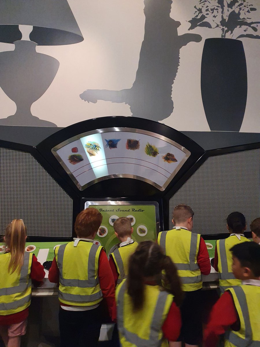 dosbarth3PG's tweet photo. 3PG are loving the museum!! @YsgolEmmanuel https://t.co/Wzc8Y6QTma