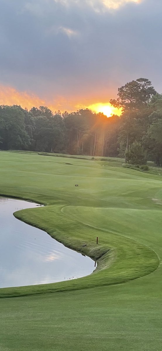 Good morning from WP!