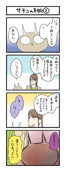 【夜の4コマ部屋】サチコの手術 2 / サチコと神ねこ様 第1743回 / wako先生 https://t.co/JwWeuu4v3b 