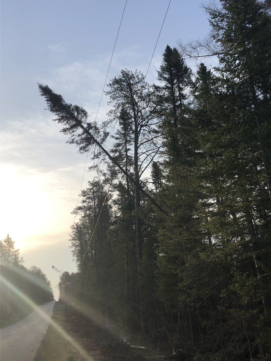 Thrilliam6's tweet photo. @UPPCO Multiple trees hanging on power lines along W County Rd 565 near where Bear Creek crosses. Closest mailbox said house 2310. Will be on road if the lines snap. https://t.co/OXpDiLLh10