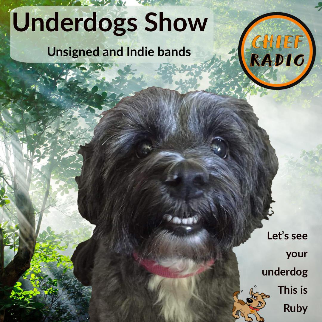 Kerry Thomson (@kerry_thomson1) on Twitter photo On the #Underdogs show with <a href="/kerrythomson1/">kerry thomson</a> on @chiefradio1 we have
<a href="/justjilljackson/">Jill Jackson 🩵</a>
<a href="/annieboothmusic/">Annie Booth</a>
<a href="/ellablicker/">Ella</a>
@timmcgrearymusic
<a href="/NoelBolandMusic/">Noel Boland Music</a>
@lucichan
<a href="/HicktownBreak/">Hicktown Breakout</a>
@clarissesisters
@viniviciousband
@AdeleAndy1
<a href="/idy_yon/">Yon Idy</a>
#supportunsigned #supportindiemusic #newmusic On the #Underdogs show with <a href="/kerrythomson1/">kerry thomson</a> on @chiefradio1 we have
<a href="/justjilljackson/">Jill Jackson 🩵</a>
<a href="/annieboothmusic/">Annie Booth</a>
<a href="/ellablicker/">Ella</a>
@timmcgrearymusic
<a href="/NoelBolandMusic/">Noel Boland Music</a>
@lucichan
<a href="/HicktownBreak/">Hicktown Breakout</a>
@clarissesisters
@viniviciousband
@AdeleAndy1
<a href="/idy_yon/">Yon Idy</a>
#supportunsigned #supportindiemusic #newmusic