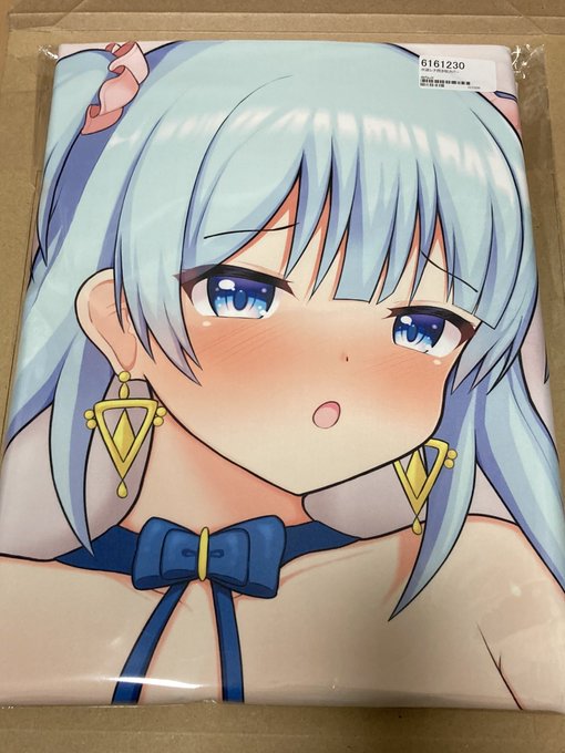 二つ目のレナ抱き枕カバーが届きました 