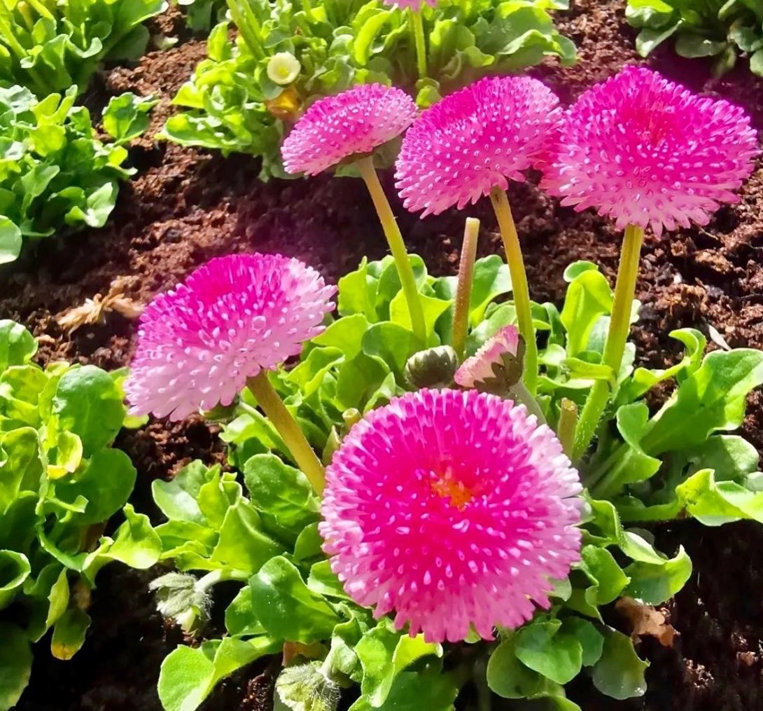 Sometimes you need take a moment to sit back and appreciate nature. Nature plays a compelling part in our food philosophy here at WOOD and we use only the best that tells our story and elevates each element of the plate. 

#WoodManchester