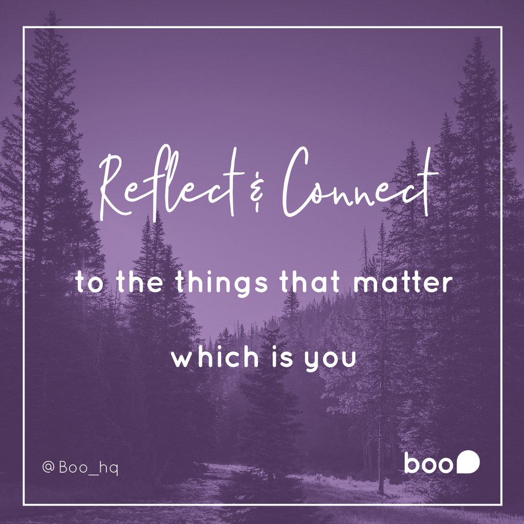 Boo Coaching & Consulting tweet media