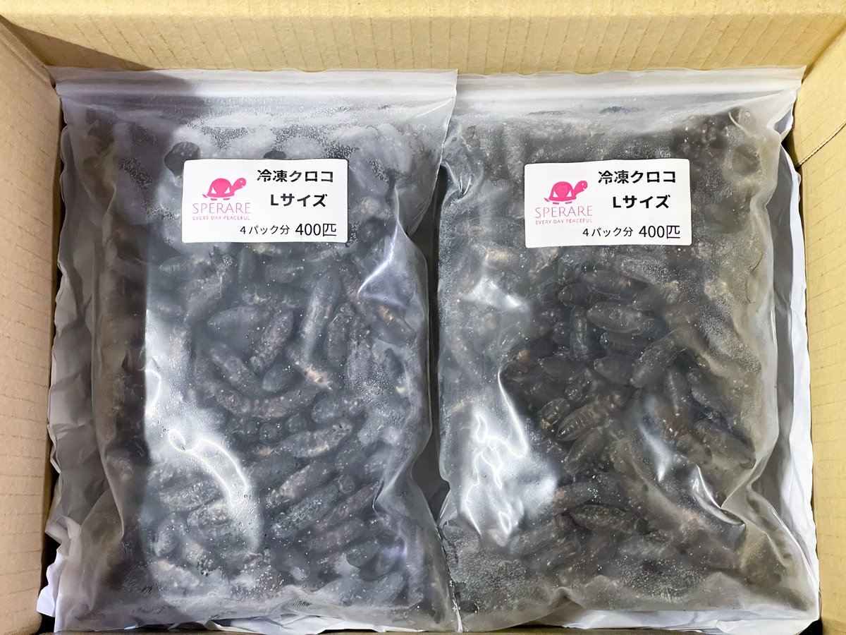 REP_SPERARE's tweet photo. 本日も通販サイト、店頭にてご注文&ご購入ありがとうございました
週末は東レプの為、今週の出荷は明日までの対応とさせて頂きます
ご迷惑をお掛け致しますが宜しくお願い致します🙇♂️
#爬虫類餌通販
#冷凍コオロギ
#冷凍クロコ
#冷凍イエコ
#MonitorFeed
#モニターフィード
#東京レプタイルズワールド https://t.co/oFxX1GmwHa