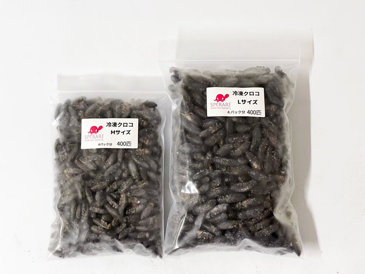 SPERARE2019's tweet photo. 本日も通販サイト、店頭にてご注文&ご購入ありがとうございました
週末は東レプの為、今週の出荷は明日までの対応とさせて頂きます
ご迷惑をお掛け致しますが宜しくお願い致します🙇♂️
#爬虫類餌通販
#冷凍コオロギ
#冷凍クロコ
#冷凍イエコ
#MonitorFeed
#モニターフィード
#東京レプタイルズワールド https://t.co/2PlNN15tHc