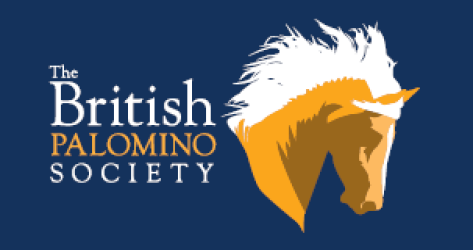 Showing Scene tweet media