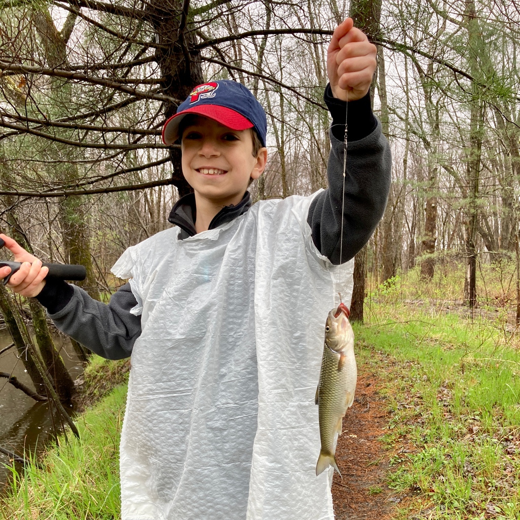 kentmurawski's tweet photo. Our first fish of the season a few weeks back! Caught it at the Oxbow National Wildlife Refuge in the Nashua River. Love this kid. 

Being outdoors replenishes my soul!

What replenishes your soul? 

#fishing #fun #gonefishin #outdoors #soulcare #replenish #family #kids https://t.co/w3XYfWlVqO