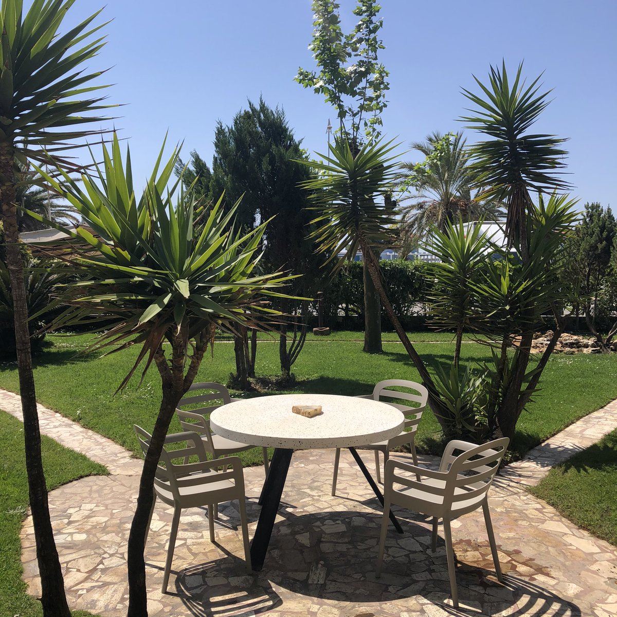 HotelBixio's tweet photo. La primavera entra sicura nel giardino del nostro #hotel! 🌺 #versilia #lidodicamaiore #holiday #italy #tuscany https://t.co/vL697Kclx6