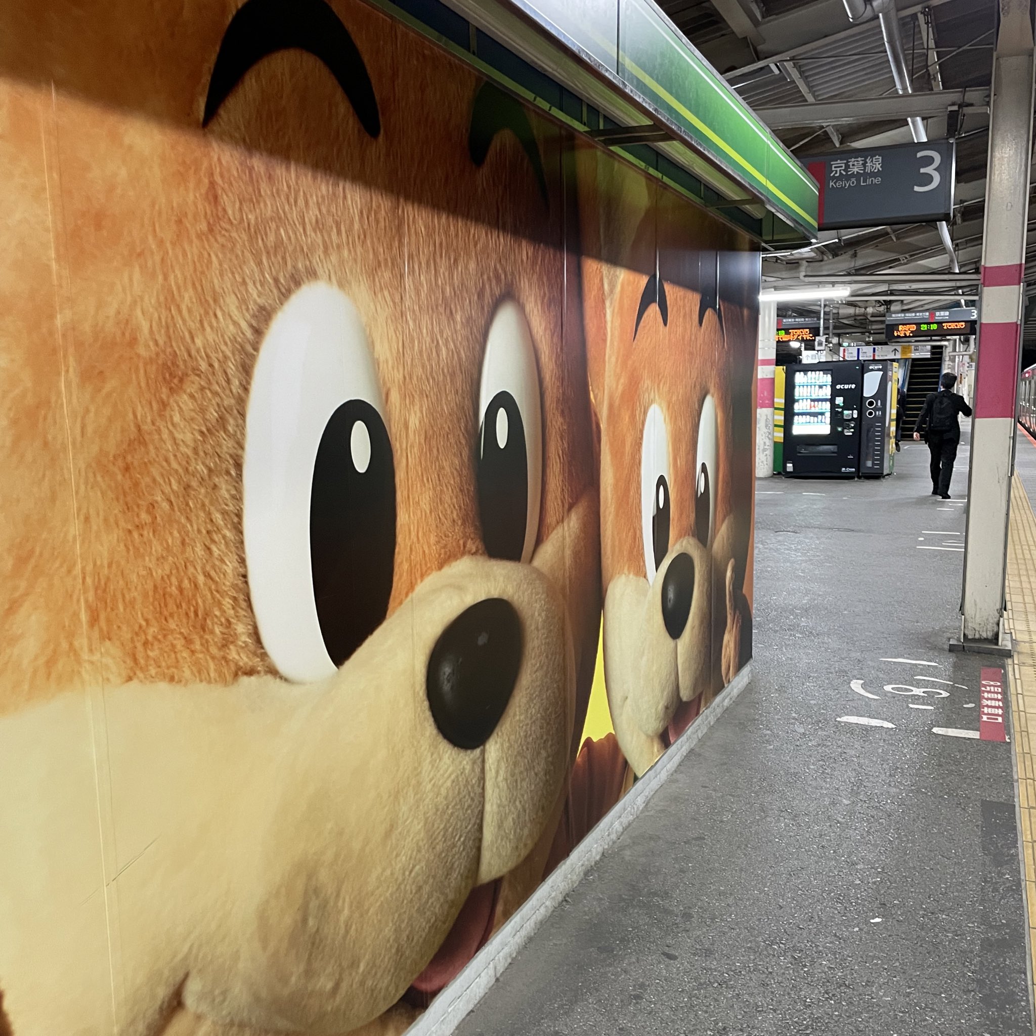 hisashi on Twitter "どんなに疲れて帰ってきても… 駅に降りるだけでこうなって もう悩みとかどうでもよくなるので 蘇我に