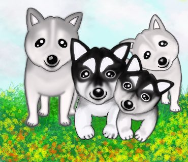 تويتر ハスキー犬 البحث في تويتر