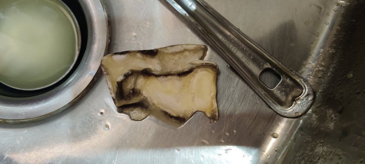 Aishwar69463504's tweet photo. Could have been writing this post from a hospital bed due to fatal food poisoning,  purchased a packet of real juice that contained some fungus or dead animal inside the packet, time to stop buying real @fssaiindia @Realjuices @jagograhakjago @Tropicana @PepsiCo @DaburIndia https://t.co/maZStTICia