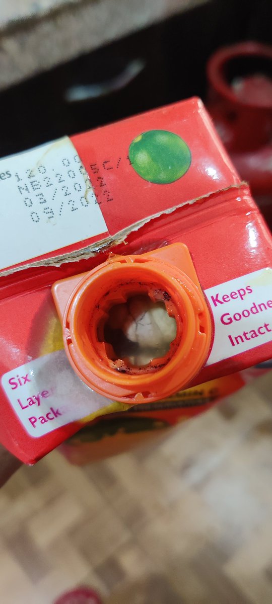 Aishwar69463504's tweet photo. Could have been writing this post from a hospital bed due to fatal food poisoning,  purchased a packet of real juice that contained some fungus or dead animal inside the packet, time to stop buying real @fssaiindia @Realjuices @jagograhakjago @Tropicana @PepsiCo @DaburIndia https://t.co/maZStTICia