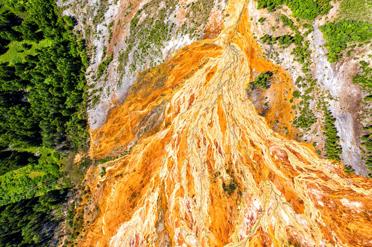 "There’s a groundswell of investor interest [in #nature] that will hit the boardrooms (...) This will move fairly rapidly on the back of the #climate-related work.” -<a href="/RIAANews/">RIAA</a>'s <a href="/EconOConnor/">Simon O'Connor</a>.

'#Naturepositive is the new #netzero' 
via <a href="/FinancialReview/">Financial Review</a>
afr.com/work-and-caree…