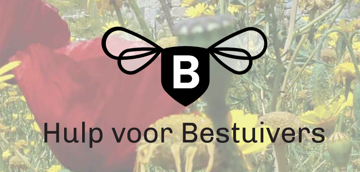 Oproep! Zet jij je in voor het behoud van bijen en zweefvliegen, maar twijfel je nog hoe dat te doen? Help #KennisimpulsBestuivers om ons aanbod van praktische tips&amp;tools nog beter te laten aansluiten op wat jij nodig hebt, door deze enquete in te vullen: forms.gle/Jwrp2YjadSCk14…