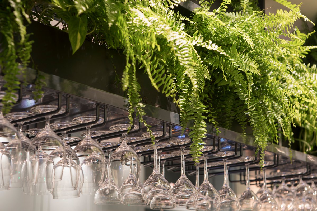 mildredslondon's tweet photo. We're delighted to have planted 300 trees, thanks to our Earth Day collaboration with @SaplingSpirits

The trees will be planted by the Mildreds team &amp; Sapling, during the UK planting season in a few months. https://t.co/rQPVLaYrL3