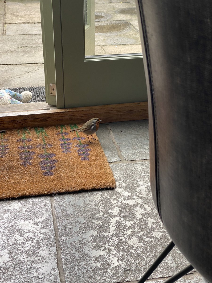 My little friend from last year has returned! 🥰