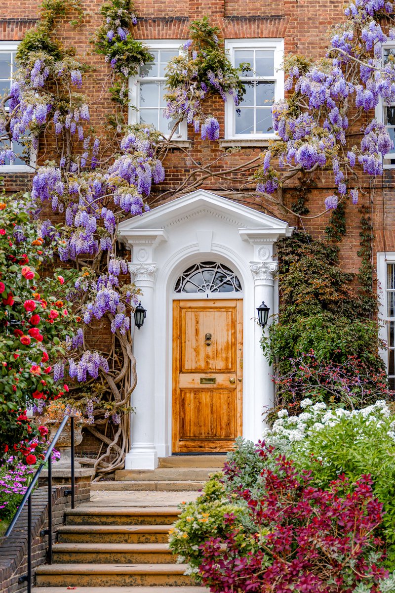 Beautiful all year round; just turned up a few notches in Spring and Summer.

#wisteria #hollandpark #london