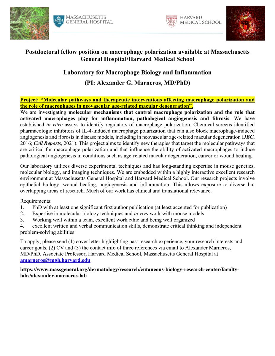 Marneros Laboratory tweet media